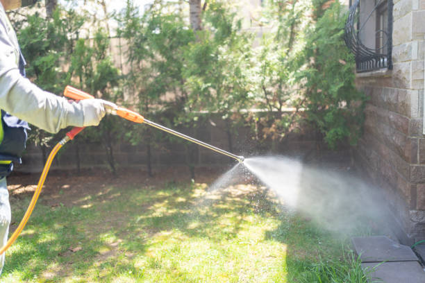 Pest Prevention Services in Lamesa, TX